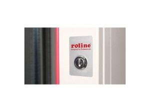 ROLINE Pro - Gehäuse - geeignet für Wandmontage - Hellgrau, RAL 7035 - 19U - 48.3 cm (19")