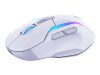 Turtle Beach Kone II Air - Maus - ergonomisch