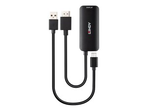 Lindy Videoadapter - HDMI, USB-C (nur Spannung) zu 24 pin...