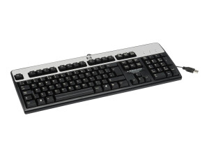 HPE Standard - Tastatur - USB - Spanisch - Silber