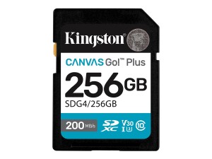 Kingston Canvas Go! Plus - Flash-Speicherkarte