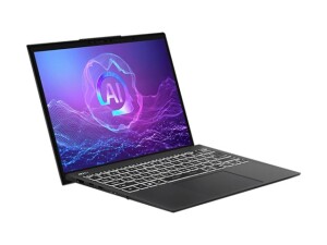 MSI Prestige 13 AI+ Evo A2VMG-009 - Intel Core Ultra 7 258V / 2.2 GHz - Evo - Win 11 Home - Intel Arc Graphics 140V - 32 GB RAM - 1 TB SSD NVMe - 33.8 cm (13.3")