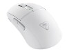 Turtle Beach Burst II Air - Maus - ergonomisch - optisch - 6 Tasten - kabellos, kabelgebunden - 2.4 GHz, Bluetooth, USB-C - kabelloser Empfänger (USB)