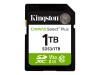 Kingston Canvas Select Plus - Flash-Speicherkarte