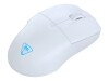 Turtle Beach Pure Air - Maus - ergonomisch - optisch - kabellos, kabelgebunden - Bluetooth, 2.4 GHz, USB-C - kabelloser Empfänger (USB)