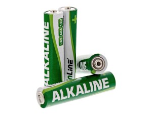 InLine Batterie 10 x AAA / LR03 - Alkalisch