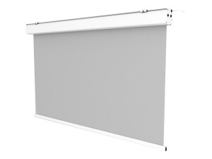 celexon Expert - Leinwand - Deckenmontage möglich,...