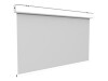 celexon Expert - Leinwand - Deckenmontage möglich, geeignet für Wandmontage - motorisiert - 230 V - 354 cm (139")