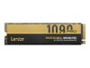 Lexar Professional NM1090 PRO - SSD - 1 TB - intern - M.2 2280 - PCI Express 5.0 x4 (NVMe)