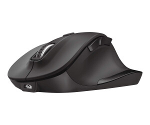 Trust Fyda Comfort - Mouse - ergonomic - for right -handed - optically - 6 keys - wireless - 2.4 GHz - Wireless recipient (USB)