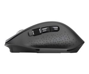 Trust Ozaa - Mouse - ergonomic - 6 keys - wireless - wireless recipient (USB)
