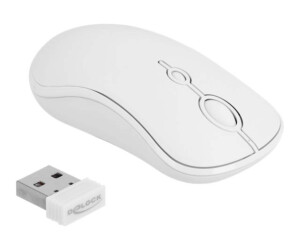 Delock keyboard and mouse set-wireless-2.4 GHz