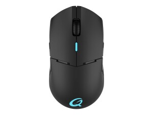 QPAD DX-900 - Maus - rechts- und linkshändig -...