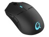 QPAD DX-900 - Maus - rechts- und linkshändig - optisch - 8 Tasten - kabellos, kabelgebunden - 2.4 GHz - kabelloser Empfänger (USB)