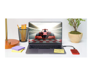 WD My Passport SSD WDBAGF0010BRD - SSD - verschlüsselt - 1 TB - extern (tragbar)
