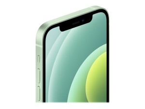 Apple iPhone 12 - 5G smartphone - dual -SIM / internal memory 256 GB