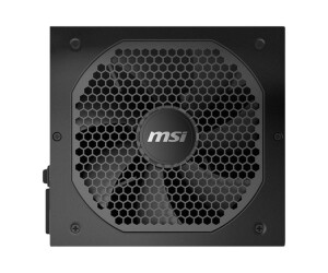 MSI MPG A750GF - power supply (internal) - ATX12V / EPS12V
