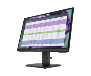 HP P22 G4 - P-Series - LED-Monitor - 54.6 cm (21.5")
