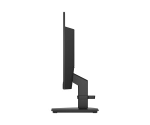 HP P22 G4 - P-Series - LED-Monitor - 54.6 cm (21.5")