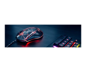 Trust GXT 133 LOCX - Mouse - for right -handers