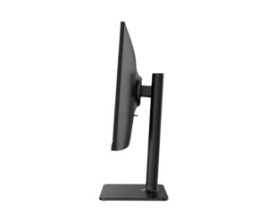 MSI Modern MD241PDE - LED-Monitor - 60 cm (23.8")