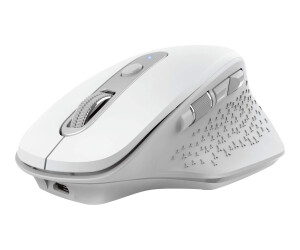 Trust Ozaa - Mouse - ergonomic - 6 keys - wireless - wireless recipient (USB)