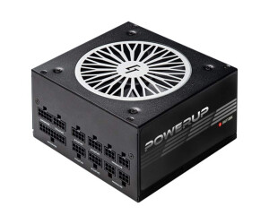 Chieftec Chieftronic Powerup Series 650W - power supply...