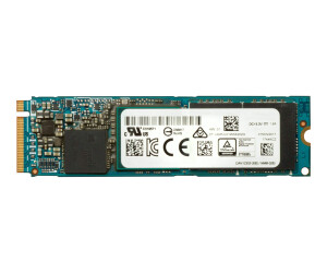 HP  SSD - 2 TB - intern - M.2 - PCIe 3.0 x4 (NVMe)