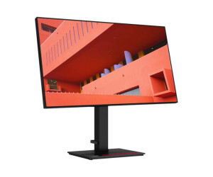 Lenovo ThinkVision P27h-20 - LED-Monitor - 69 cm (27")