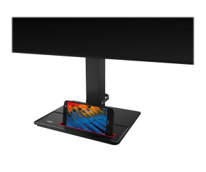 Lenovo ThinkVision P27h-20 - LED-Monitor - 69 cm (27")