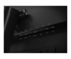 Lenovo ThinkVision P27h-20 - LED-Monitor - 69 cm (27")