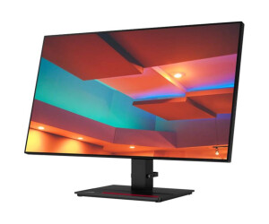 Lenovo ThinkVision P27h-20 - LED-Monitor - 69 cm (27")
