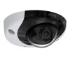 Axis P3935 -LR - network monitoring camera - Swing / tilt - vandalism protected - color (day & night)