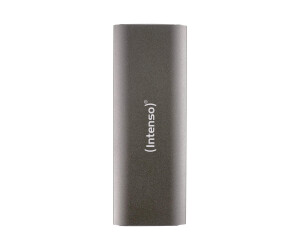 Intenso Professional - SSD - 1 TB - extern (tragbar)