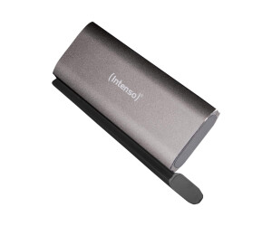 Intenso Professional - SSD - 1 TB - extern (tragbar)