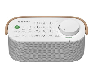 Sony SRS-LSR200 - Lautsprecher - für TV - kabellos