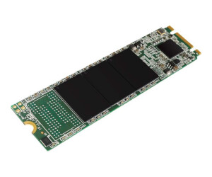 Silicon Power M.2 2280 A55 - SSD - 256 GB - internally