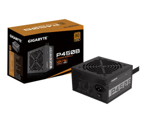 Gigabyte P450B - power supply (internal) - ATX12V 2.31