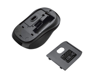 Trust Silent Click Siero - Maus - rechts- und linkshändig - optisch - 4 Tasten - kabellos - 2.4 GHz - kabelloser Empfänger (USB)
