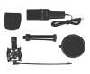Delock USB Condenser Microphone Set for Podcasting, Gaming and Vocals
