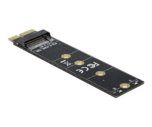 Delock interface adapter - M.2 - M.2 NVMe Card