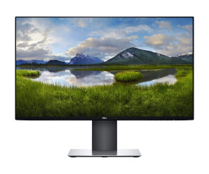 Dell UltraSharp U2421HE - LED-Monitor - 61 cm (24")