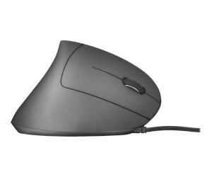 Trust Verto - Maus - ergonomisch - Für Rechtshänder - optisch - 6 Tasten - kabellos - 2.4 GHz - kabelloser Empfänger (USB)