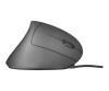 Trust Verto - Maus - ergonomisch - Für Rechtshänder - optisch - 6 Tasten - kabellos - 2.4 GHz - kabelloser Empfänger (USB)