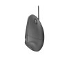 Trust Verto - Maus - ergonomisch - Für Rechtshänder - optisch - 6 Tasten - kabellos - 2.4 GHz - kabelloser Empfänger (USB)
