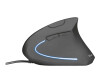 Trust Verto - Maus - ergonomisch - Für Rechtshänder - optisch - 6 Tasten - kabellos - 2.4 GHz - kabelloser Empfänger (USB)