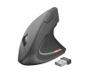 Trust Verto - Maus - ergonomisch - Für Rechtshänder - optisch - 6 Tasten - kabellos - 2.4 GHz - kabelloser Empfänger (USB)