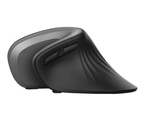 Trust Verro - vertical mouse - ergonomic - for right -handed - optically - 6 keys - wireless - 2.4 GHz - wireless recipient (USB)