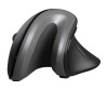 Trust Verro - Vertikale Maus - ergonomisch - Für Rechtshänder - optisch - 6 Tasten - kabellos - 2.4 GHz - kabelloser Empfänger (USB)