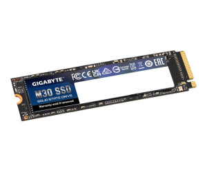 Gigabyte M30 - SSD - 1 TB - intern - M.2 2280 - PCIe 3.0 x4 (NVMe)